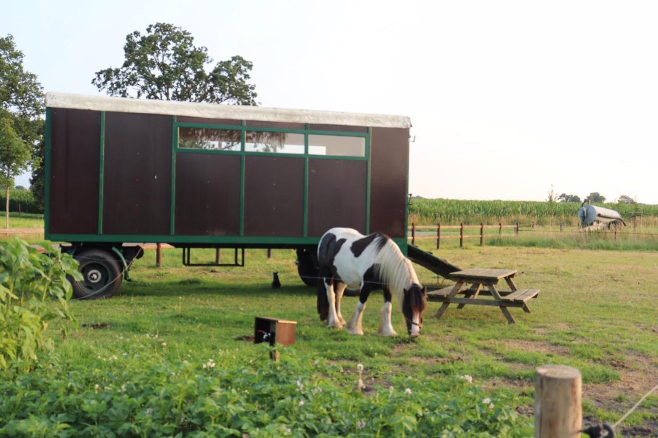 Hotel Slapen Tussen De Paarden Essen Exterior foto